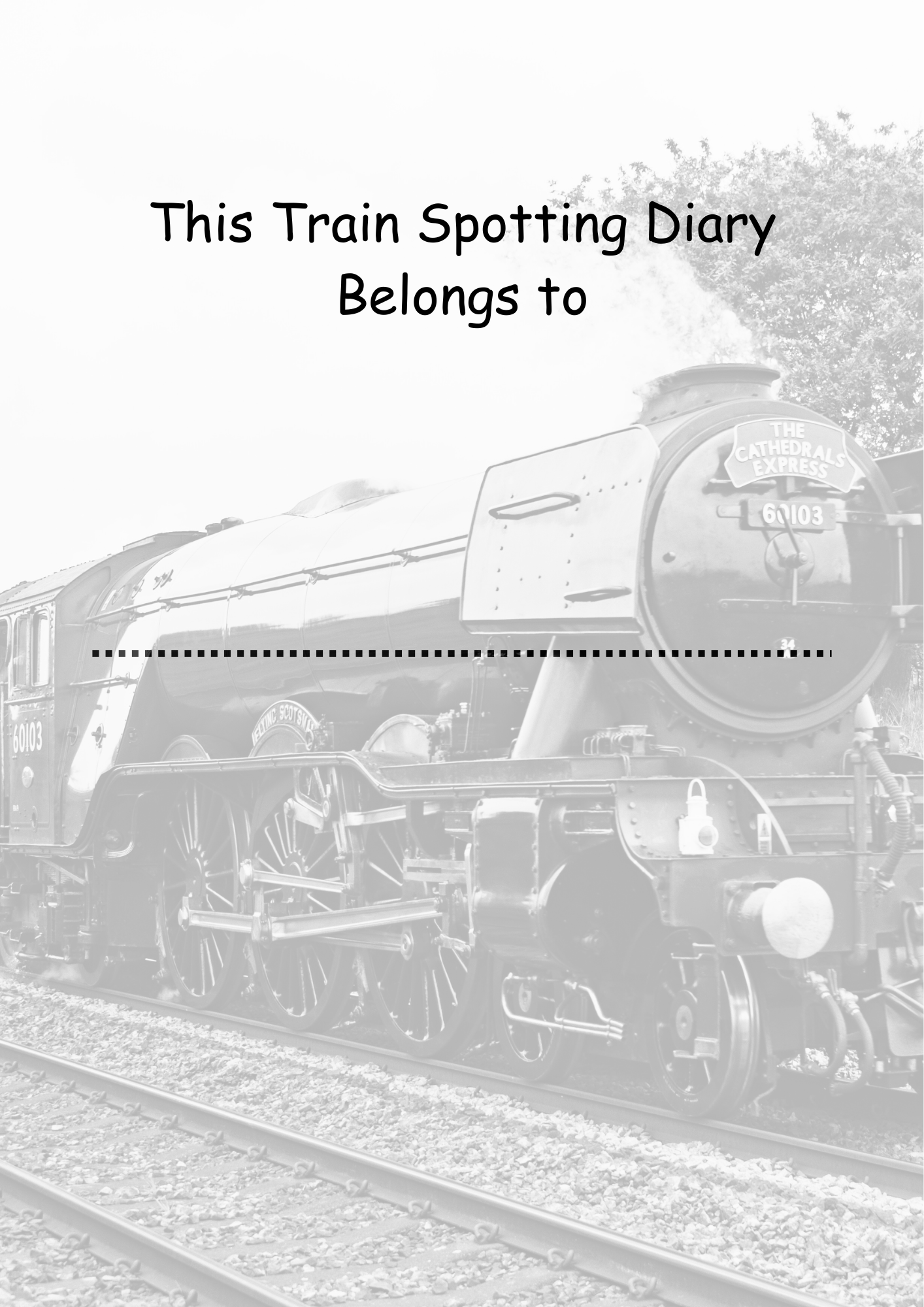 Train Spotter's Logbook: Your Essential Guide to Recording and Celebrating Train Sightings