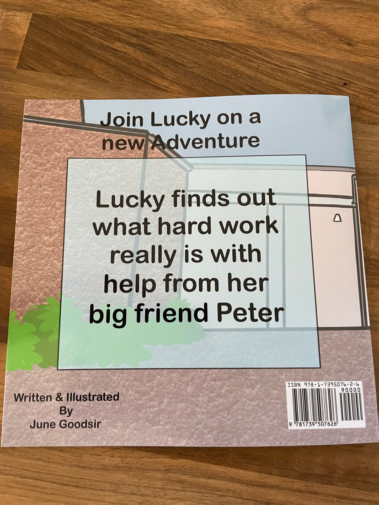 "Lucky in a Hurry" e-Book by June Goodsir – A Delightful Children's Tale of Kindness and Respect!