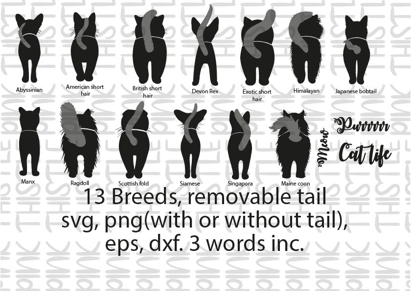 Cat Butt SVG Bundle | Funny Cat Silhouettes | Digital Download for Cricut & Silhouette